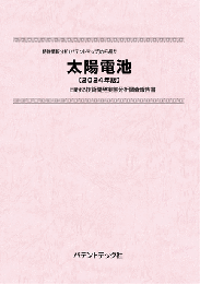 太陽電池〔2024年版〕　技術開発実態分析調査報告書