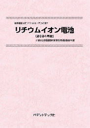 リチウムイオン電池〔2024年版〕　技術開発実態分析調査報告書